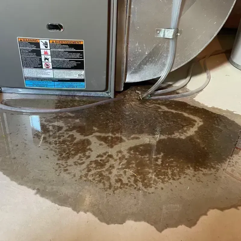 Appliance Leak Cleanup in Puyallup, WA